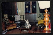 Vintage Photograph Beautiful