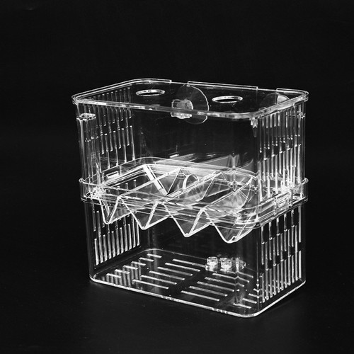 1pc fish fry hatching - 1pc,