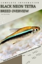 Black neon tetra from novice - tetra,