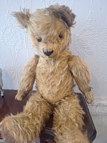 Vintage teddy bear growler - vintage,