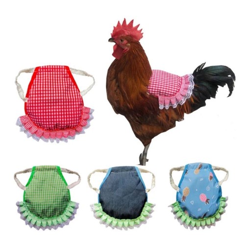 Hen apron elastic chicken - hen,