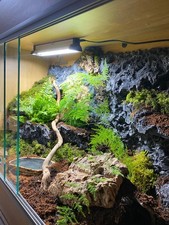 4 foot custom made vivarium
