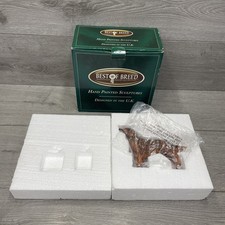 Irish Setter Best of Breed by