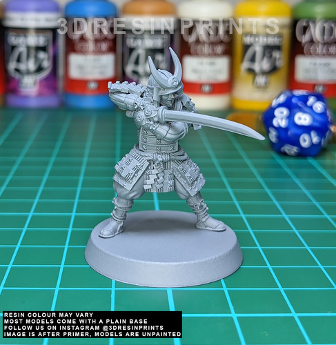 C11 samurai ronin ninja - c11,