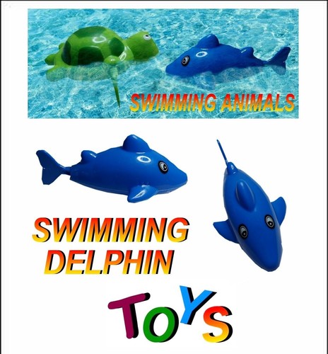 Swimming animals - animals,