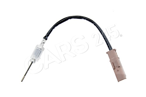 Exhaust gas temperature - gas, sensor