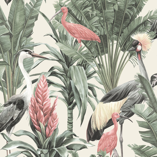 Exotic tropical birds - &,