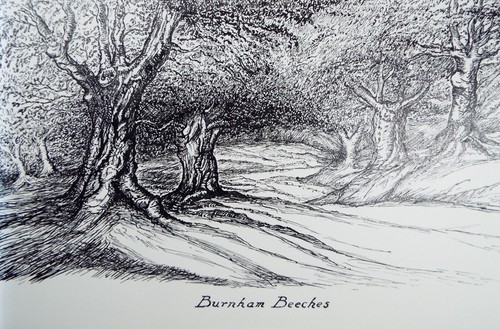 Original pen ink - pen,