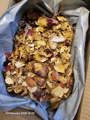 Dried rose petals wedding - rose,