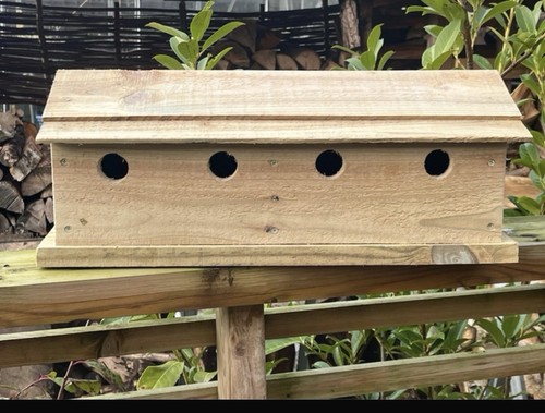 Sparrow nest bird box - bird, wooden