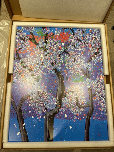 Damien hirst signed limited - damien,