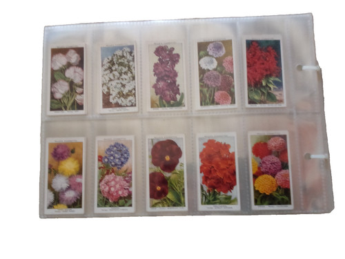 Wills garden flowers - wd, &