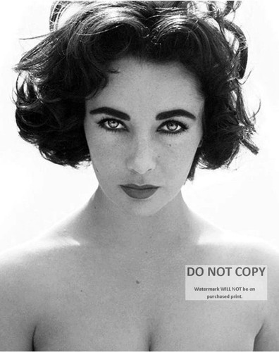 Elizabeth taylor photo 8x10 - photo,