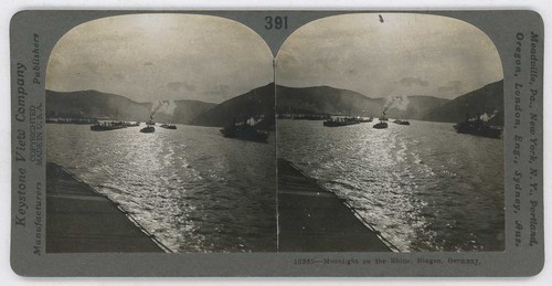 Germany bingen ships - germany,