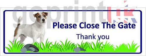 Jack russell terrier please - jack,