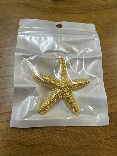 Starfish good colour brooch - starfish,