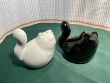 Black & White Cats  Salt &