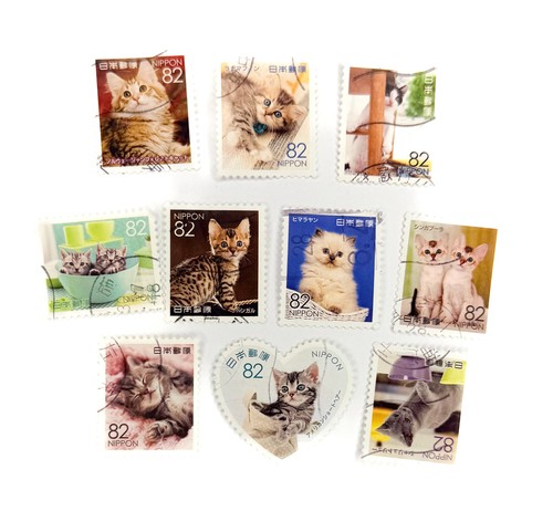 Cat and kittens - 10, used
