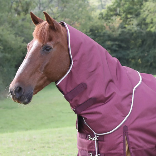 Shires highlander plus - shires, 100g