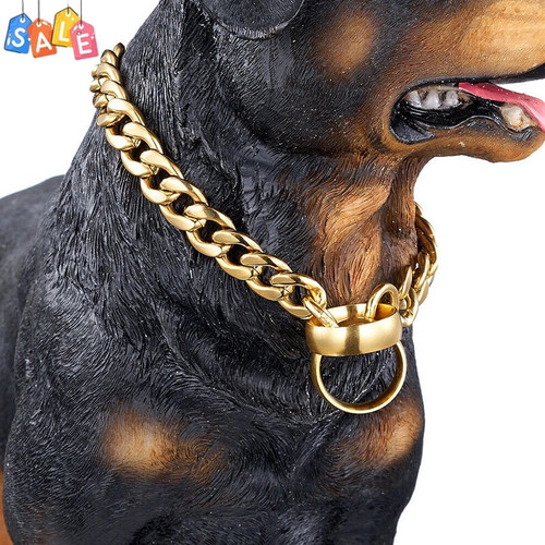 Gold dog collar solid - gold,