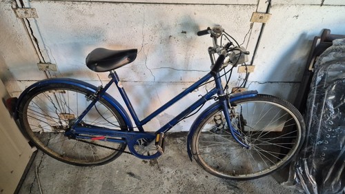 Woman vintage bike - vintage,