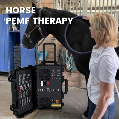 Pmst loop pemf equine - pemf, therapy
