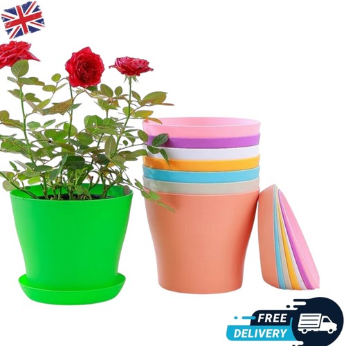 Plant pots flower planter - plant,