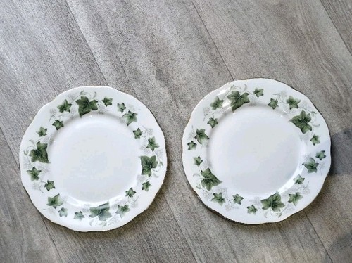 Duchess ivy bone china - ivy,