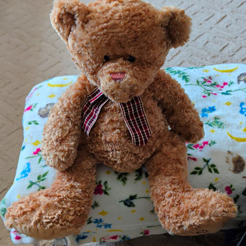 Sainsbury brown plush - brown,