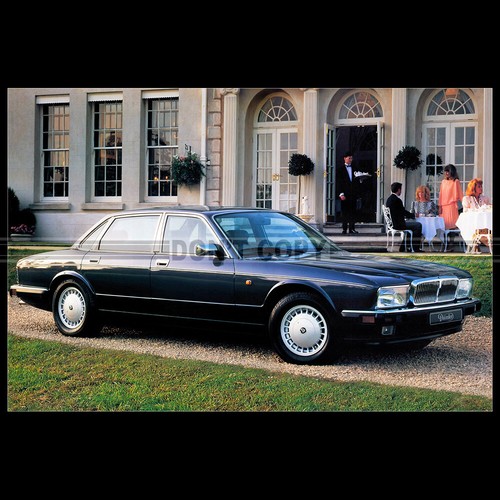 Photo 011480 daimler double - photo,