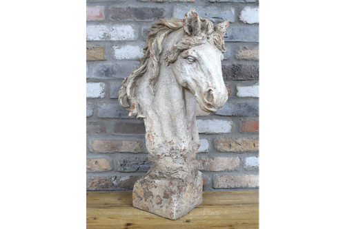 6kg huge 67cm - horses, head