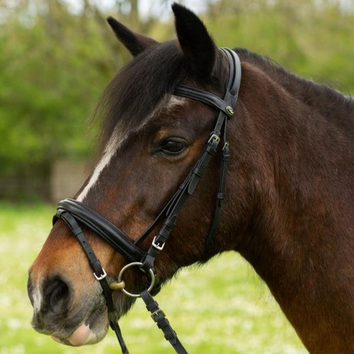 Gallop leather comfort - gallop,
