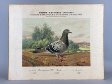 ANTIQUE PIGEON RACING '07