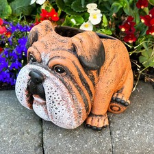 English Bulldog Planter Brown