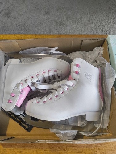 Sfr galaxy ice - ice, size
