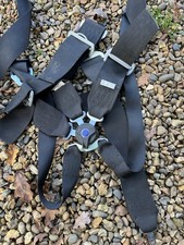 TRS 6 Point Racing Harness Seatbelt