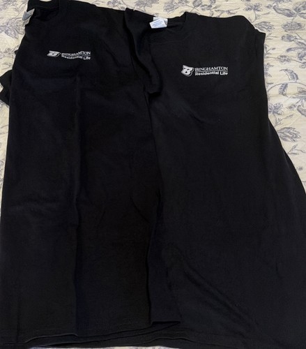 Lot binghamton university - 2,
