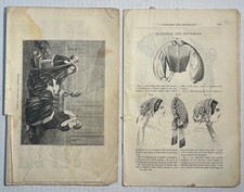 Antique Victorian Fashion Patterns Fall 1860 Godey’s Illustrations Era Style