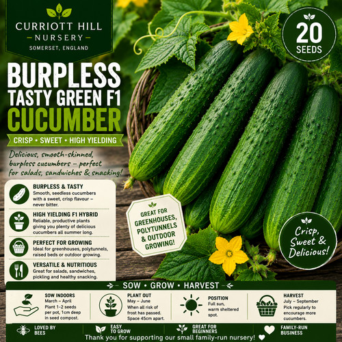 Burpless tasty green - green, f1