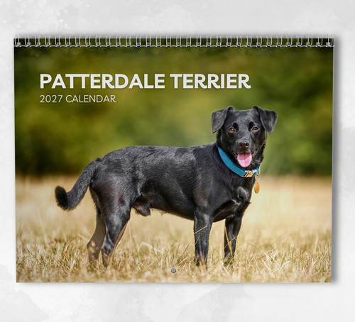 Patterdale terrier calendar - patterdale,