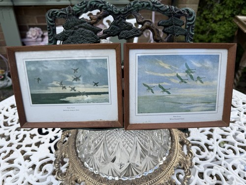 Peter scott prints - 2, mallards