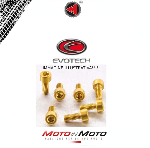 Evotech gold ergal - gold, tank