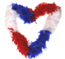 65 GRAM FEATHER BOA FANCY
