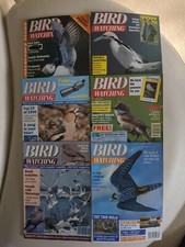Vintage Bird Watching