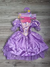 Disguise Disney Princess