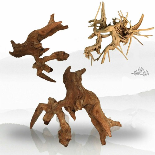 Natural aquarium driftwood - aquarium,