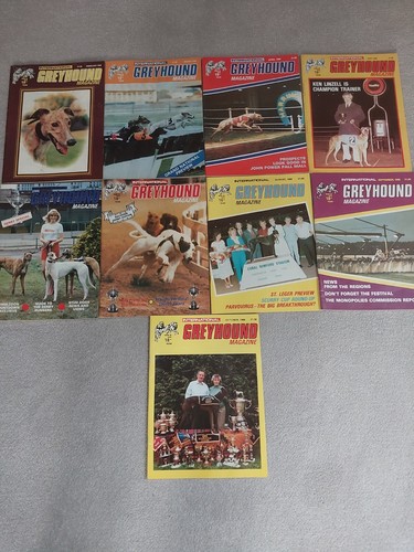 International greyhound racing - international,