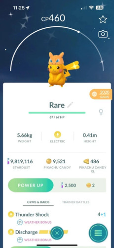 Pokèmon shiny pikachu - pokèmon, go
