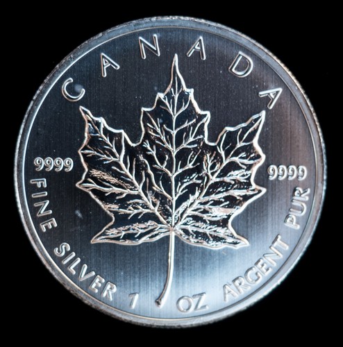 1oz silver 2013 canadian - 1oz,