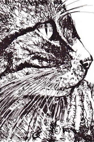 Limited edition print - limited, aceo